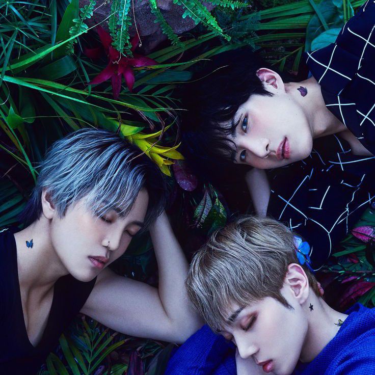 K-POP posts beloved by 자유게시판 fans