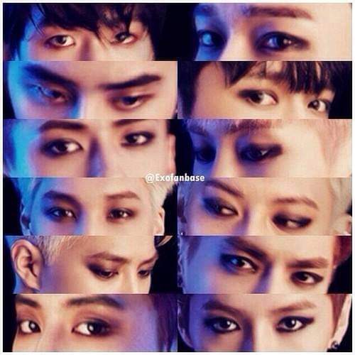 Must-see popular post of EXO, your favorite