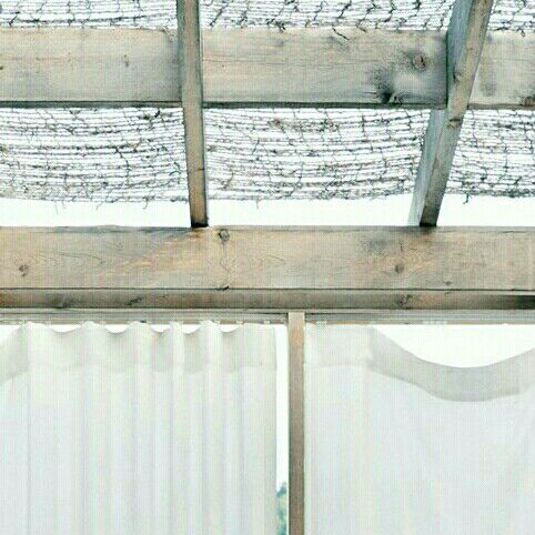 Hot post catching attention from 자유게시판's fandom