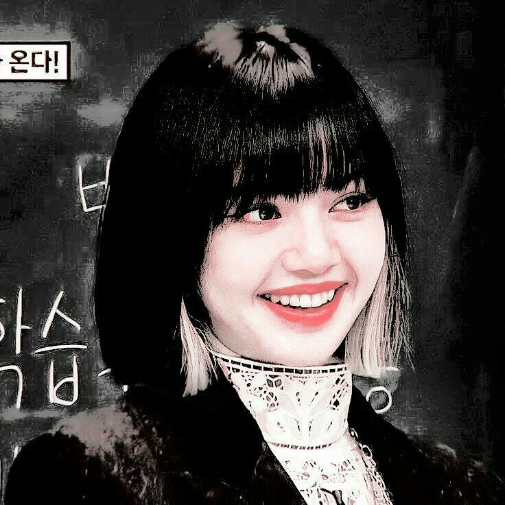 Today’s hot picks from the 자유게시판 community