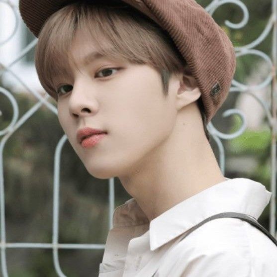 Popular profile picture of Kim Wooseok loved by fans