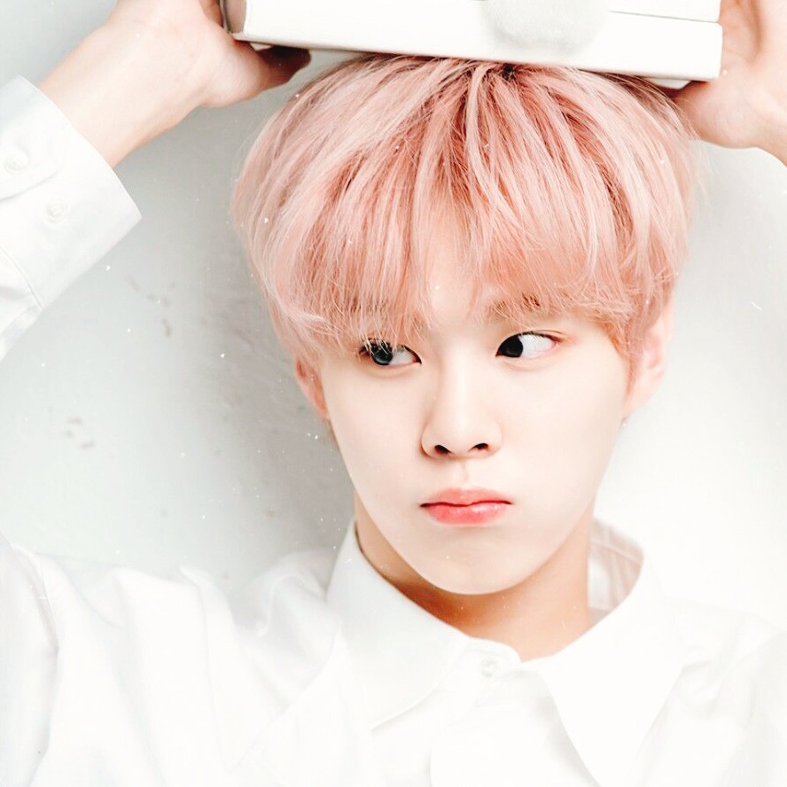 K-POP posts beloved by 자유게시판 fans