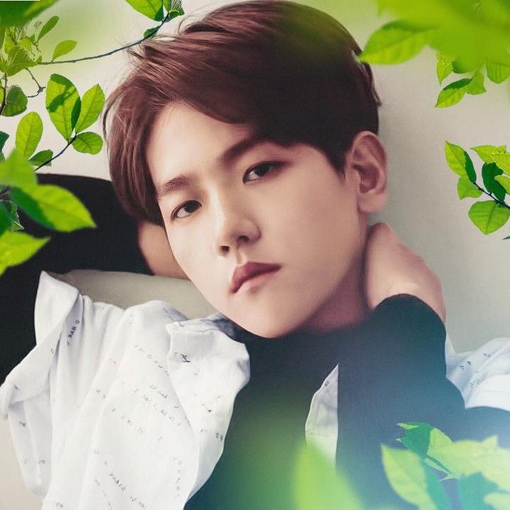 Latest photo of Baekhyun (EXO)