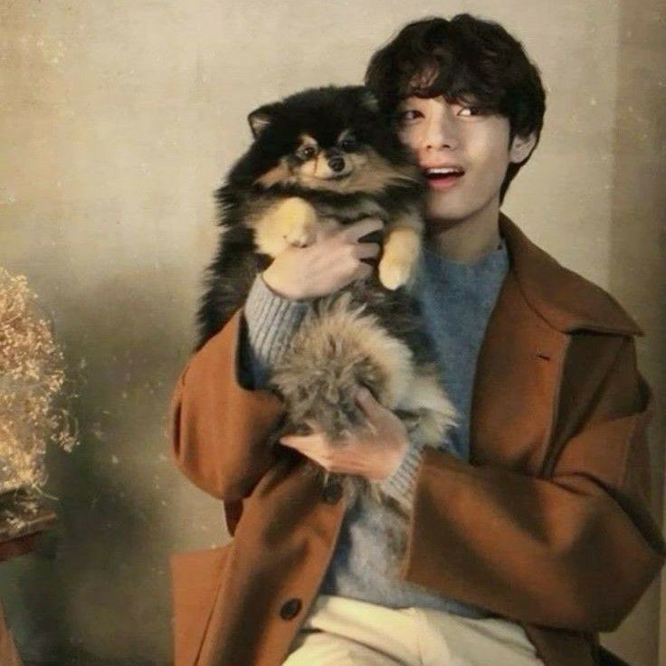 V (防彈少年團)的最新活動照片