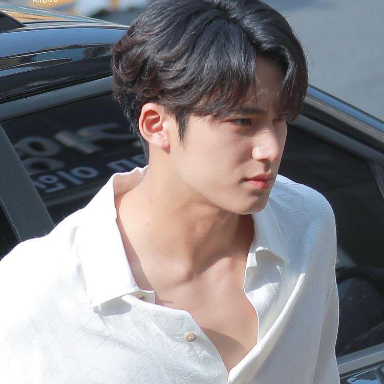 A moment captured by Mingyu (SEVENTEEN)'s fan