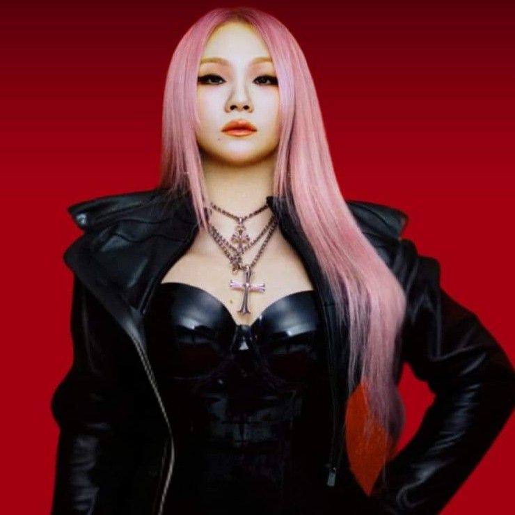 A moment captured by CL (2NE1)'s fan