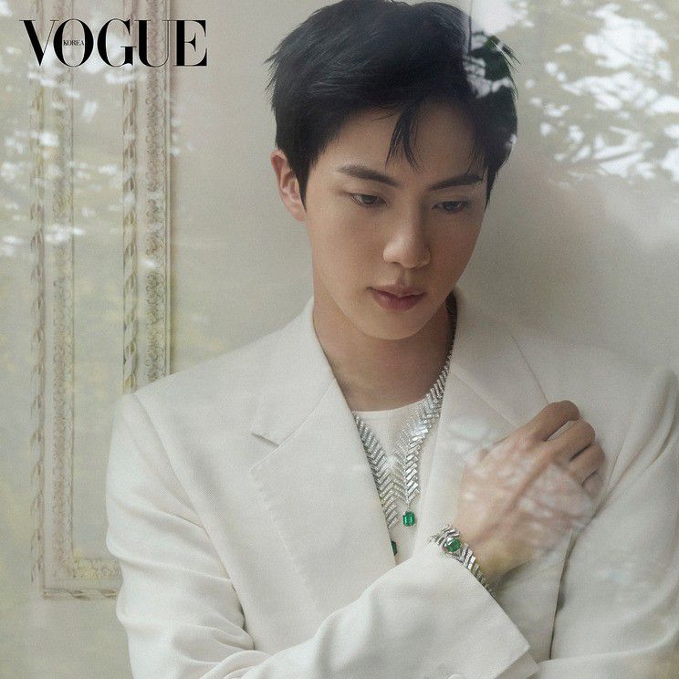 A moment captured by Jin (BTS)'s fan