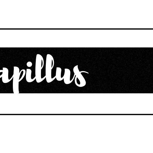 Latest photo of Lapillus