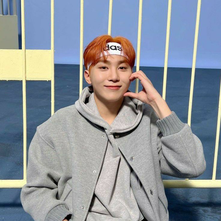 A moment captured by SEVENTEEN's fan