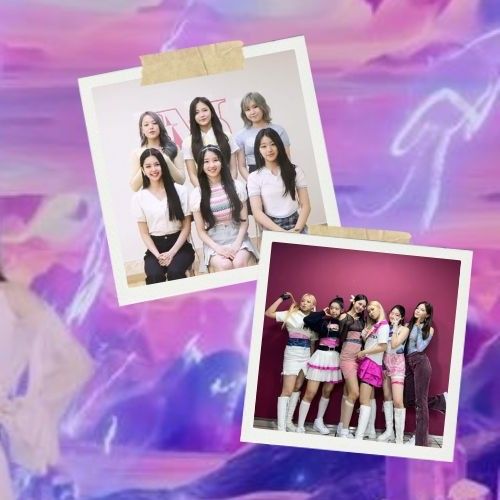 라필루스 최근 활동샷