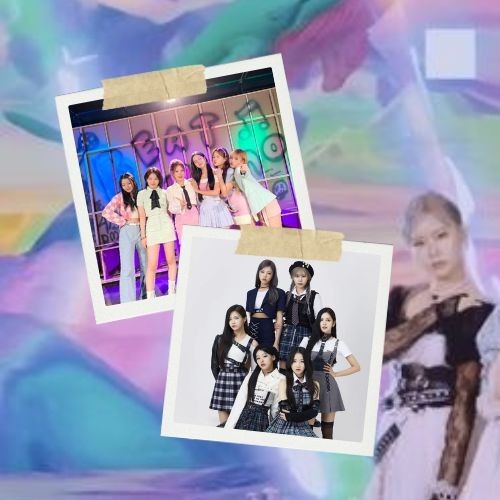 라필루스 최근 활동샷