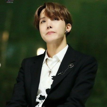 제이홉 (방탄소년단) 팬이 찍은 순간