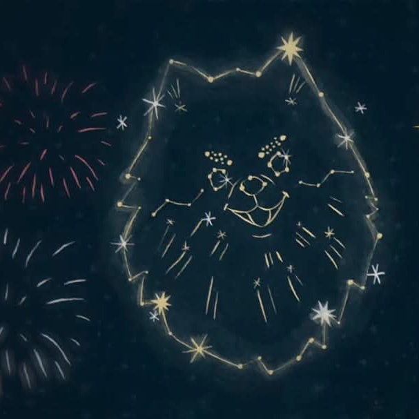 방탄소년단 팬이 찍은 순간