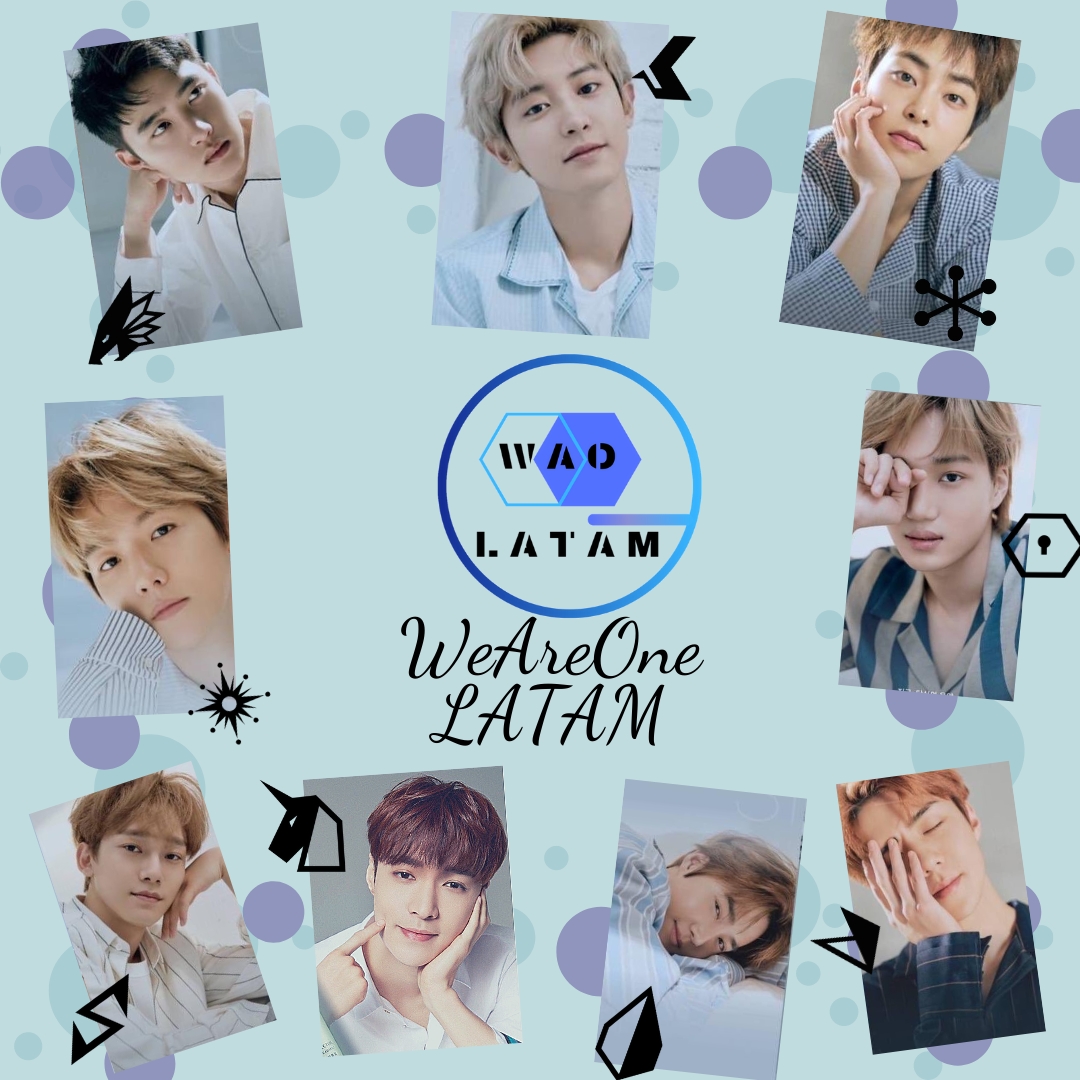 EXO 팬이 찍은 순간