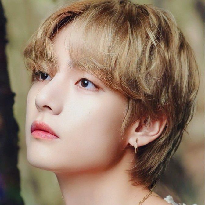 V (BTS)ファンが撮った瞬間