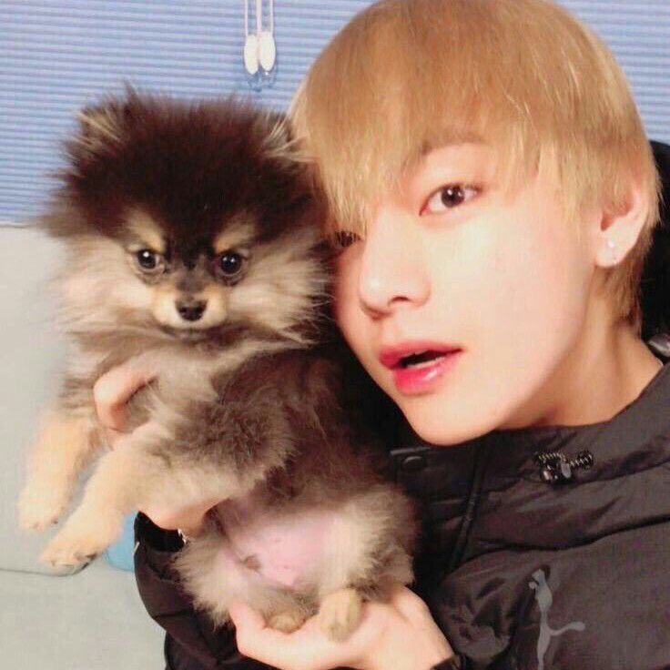 Foto terbaru V (BTS)