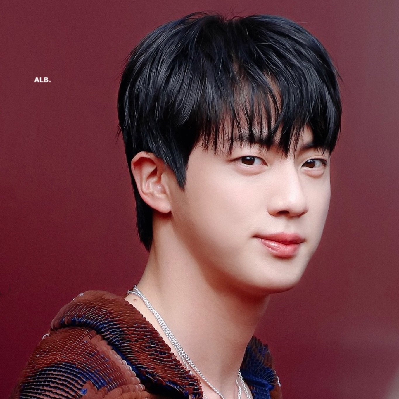 진 (방탄소년단) 팬이 찍은 순간