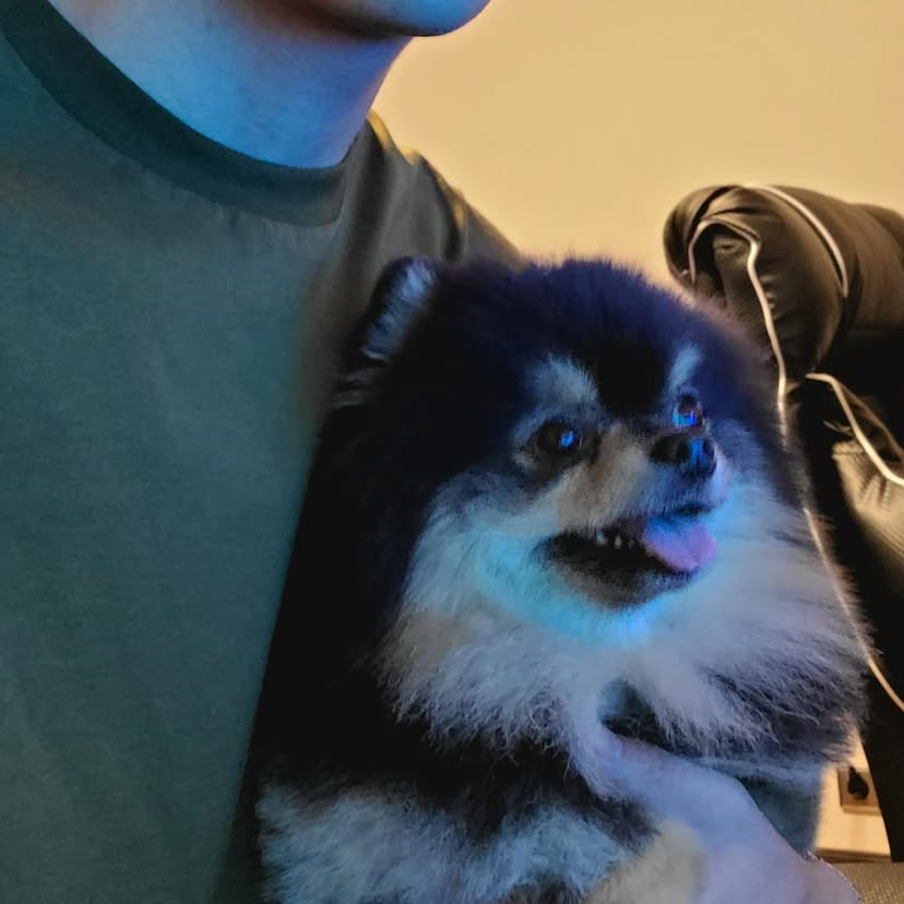 방탄소년단 최근 활동샷