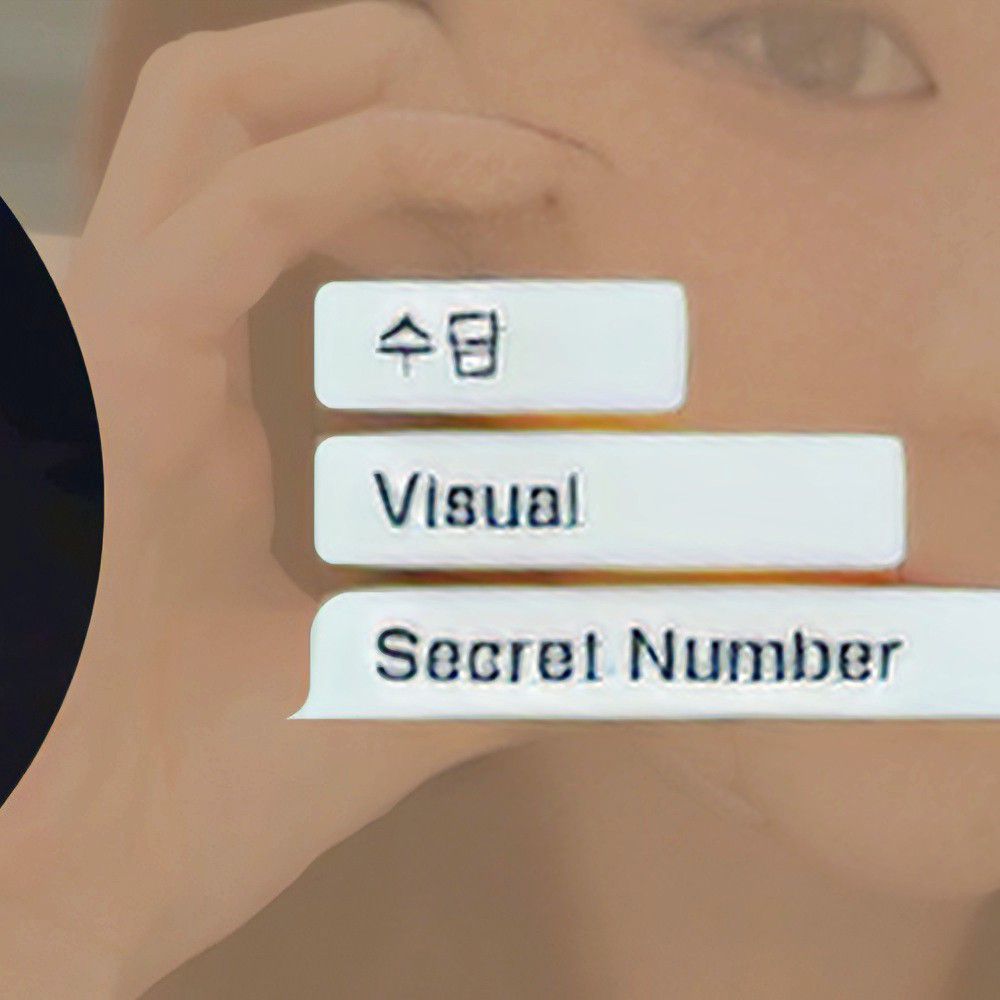 수담 (SECRET NUMBER) 최근 활동샷