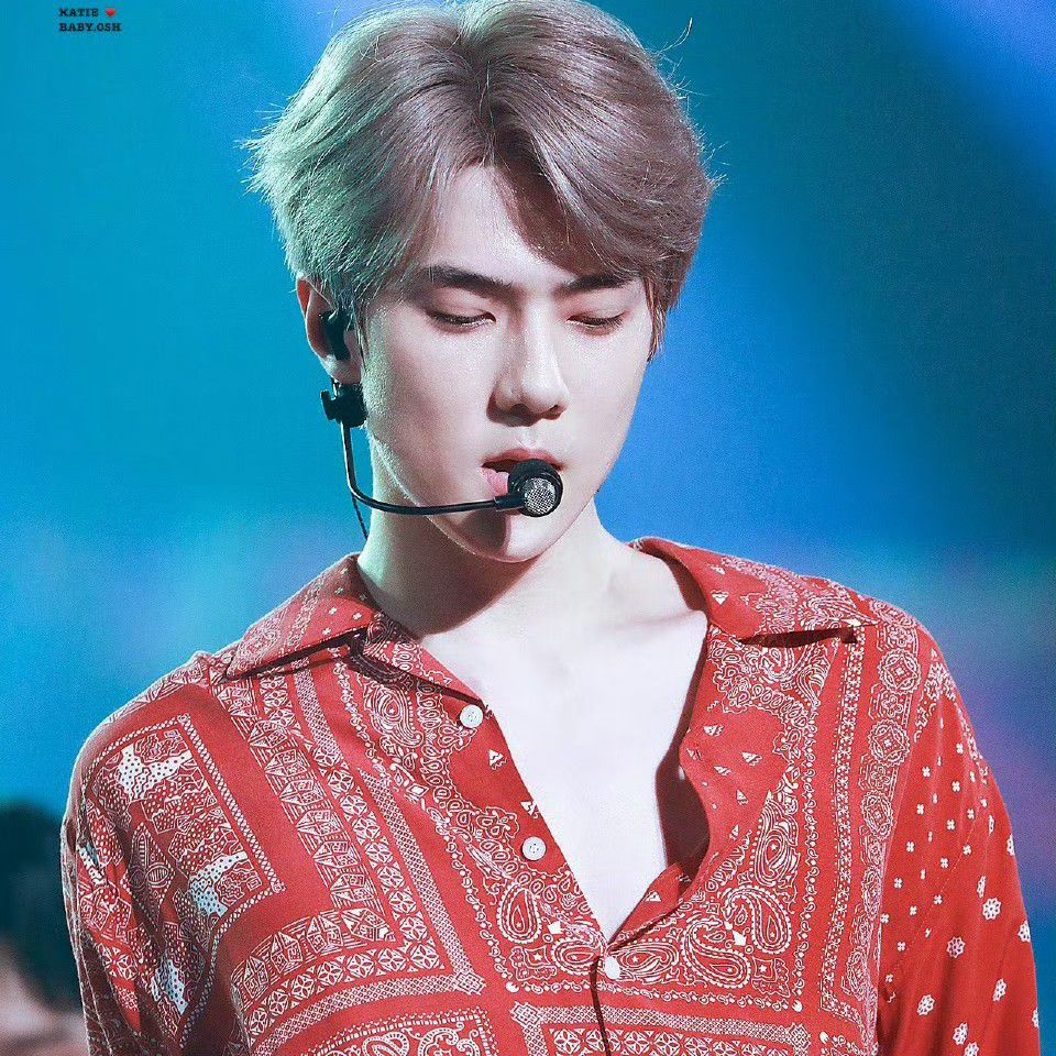 EXO 팬이 찍은 순간