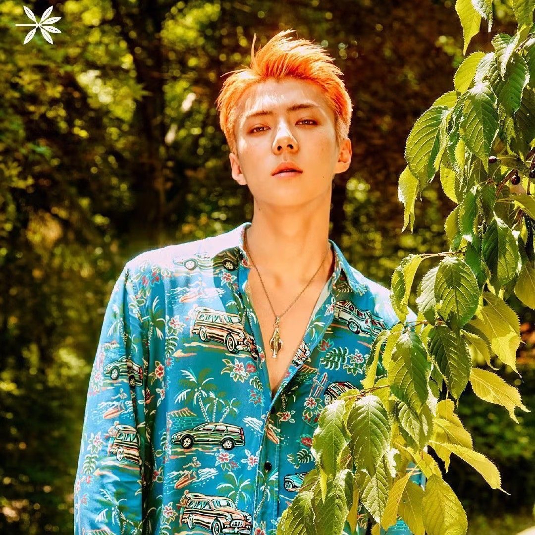 Behind-the-scenes cut of Sehun (EXO)