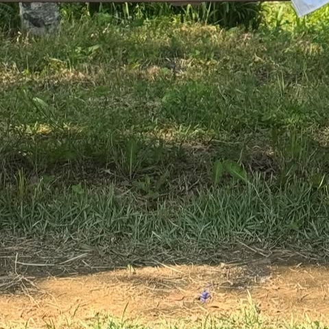 Recent activity shot of Jeong Yein (Lovelyz)