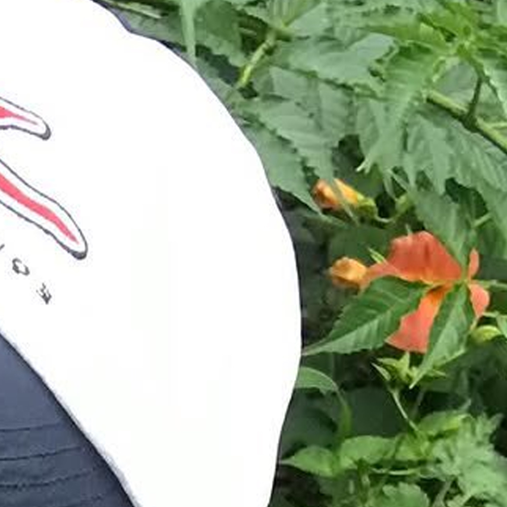 ゴウォン (Loossemble)の最近の活動写真
