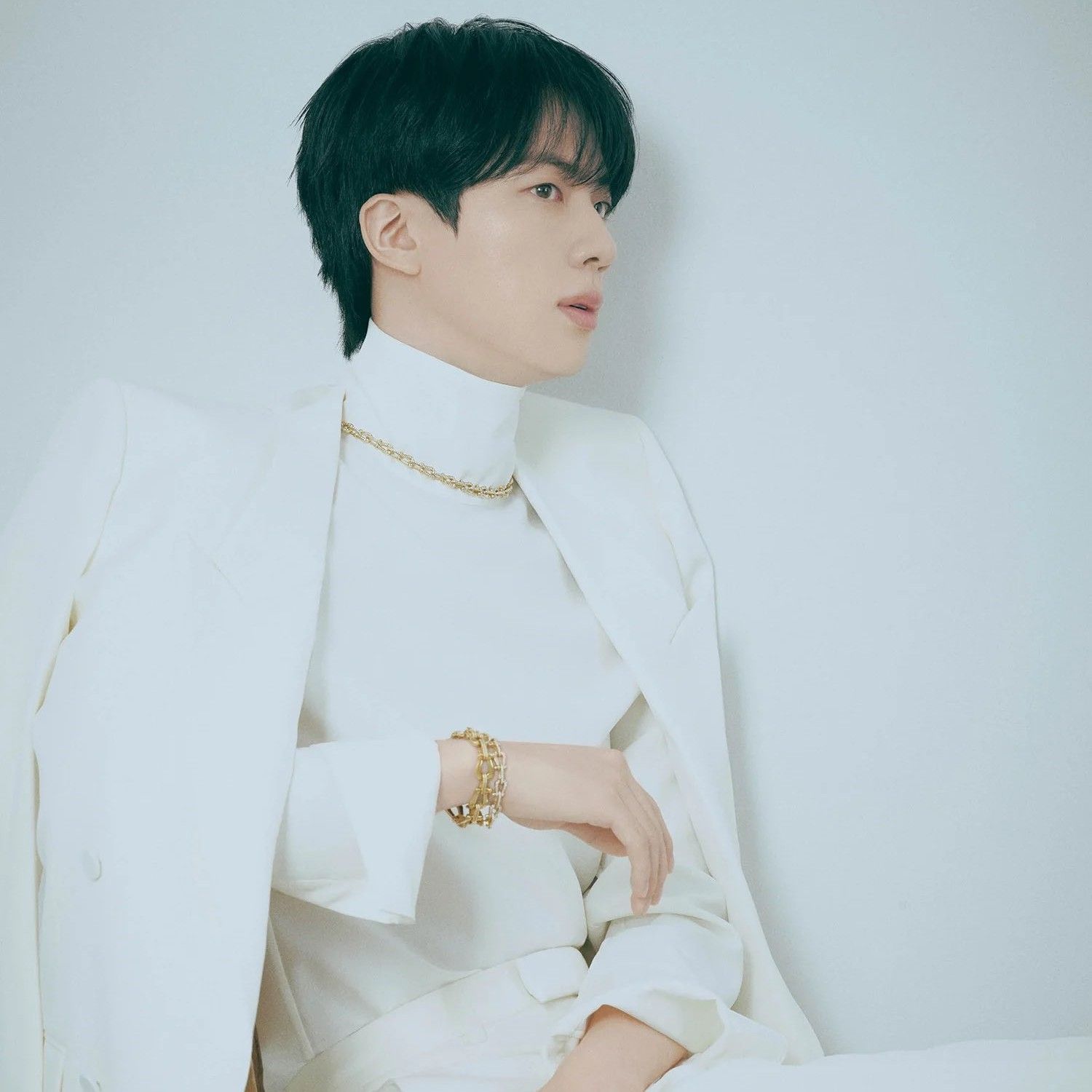 진 (방탄소년단) 팬이 찍은 순간