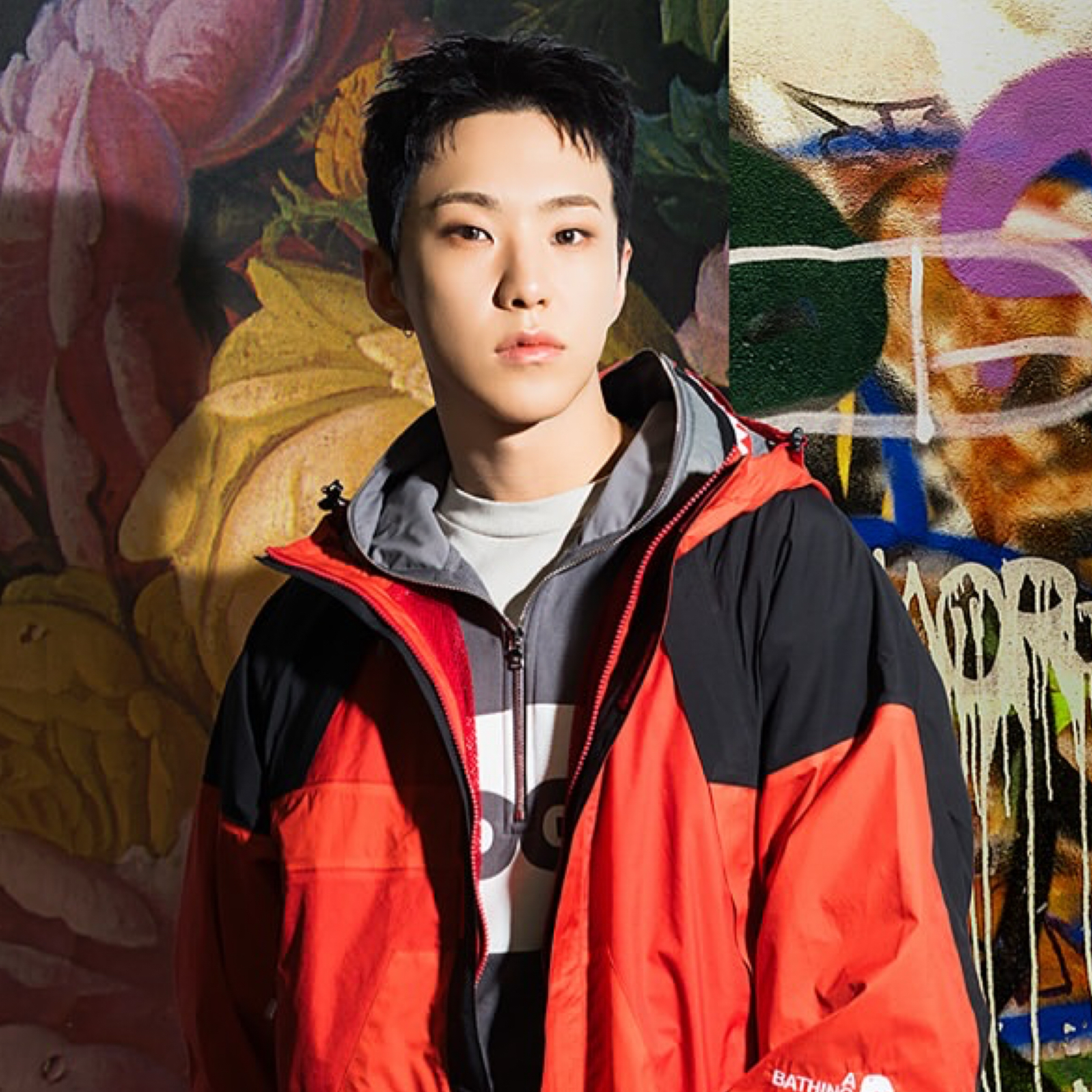 A moment captured by Hoshi (SEVENTEEN)'s fan