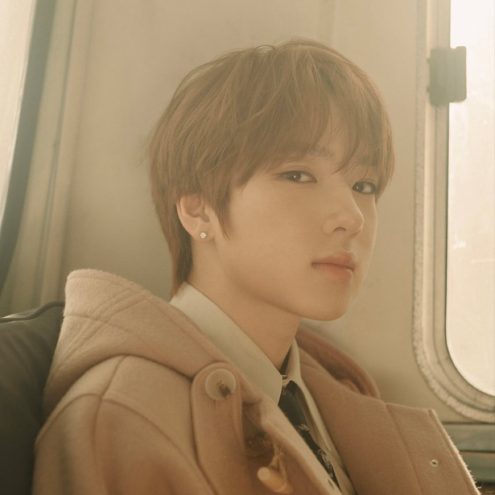 Recent activity shot of Sakuya (NCT WISH)