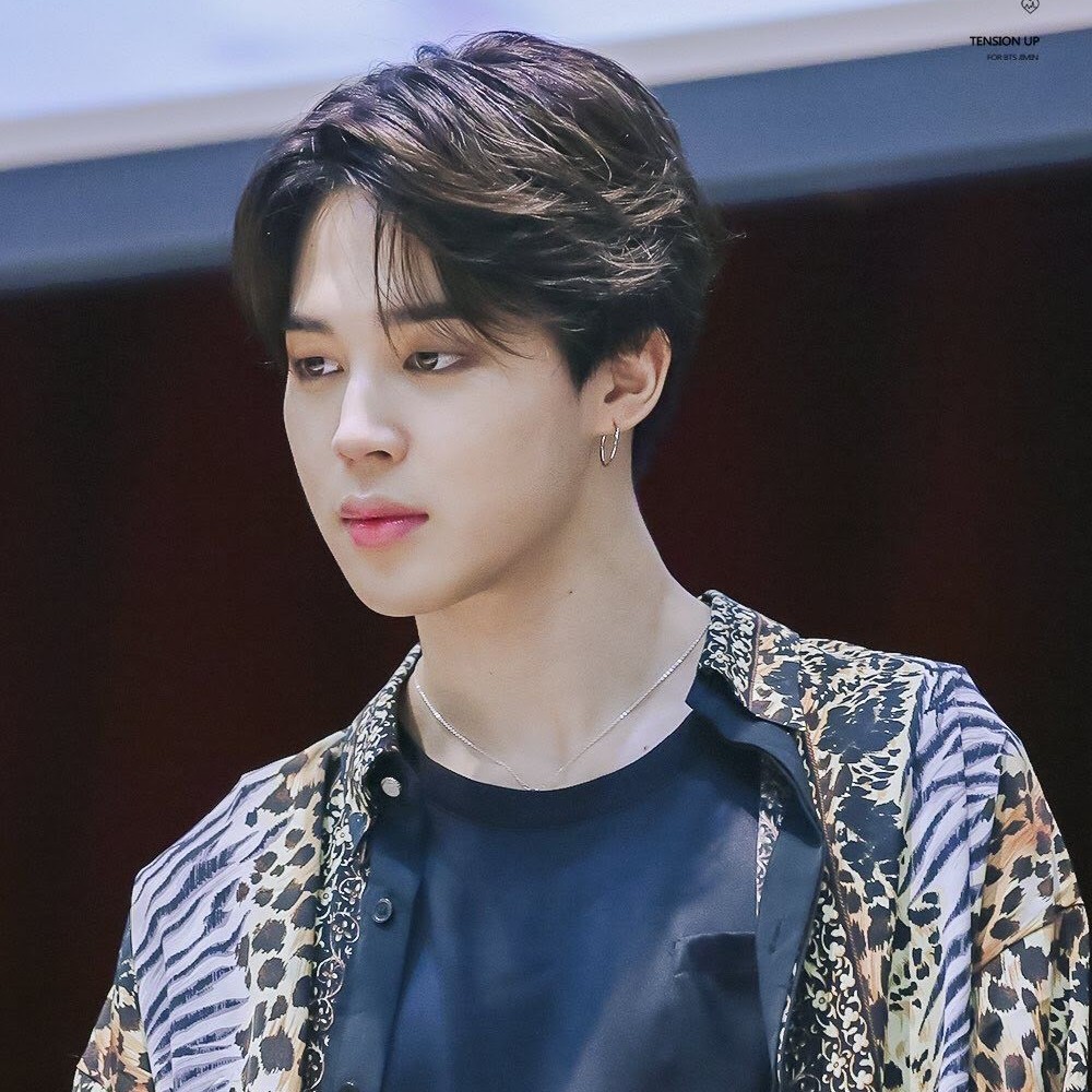 A moment captured by Jimin (BTS)'s fan
