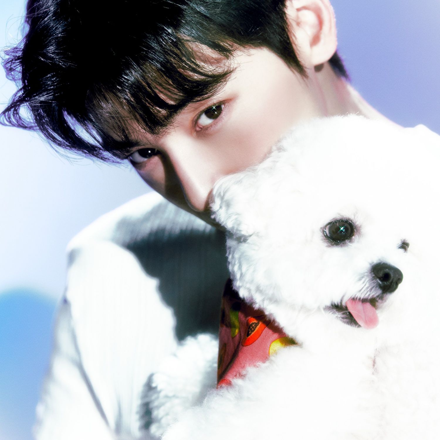 Momen yang diabadikan oleh penggemar ASTRO