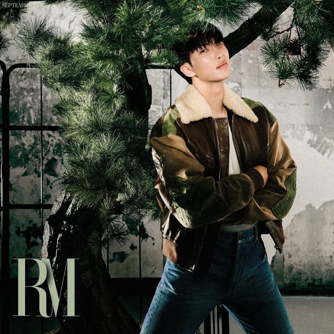 Behind-the-scenes cut of RM (BTS)