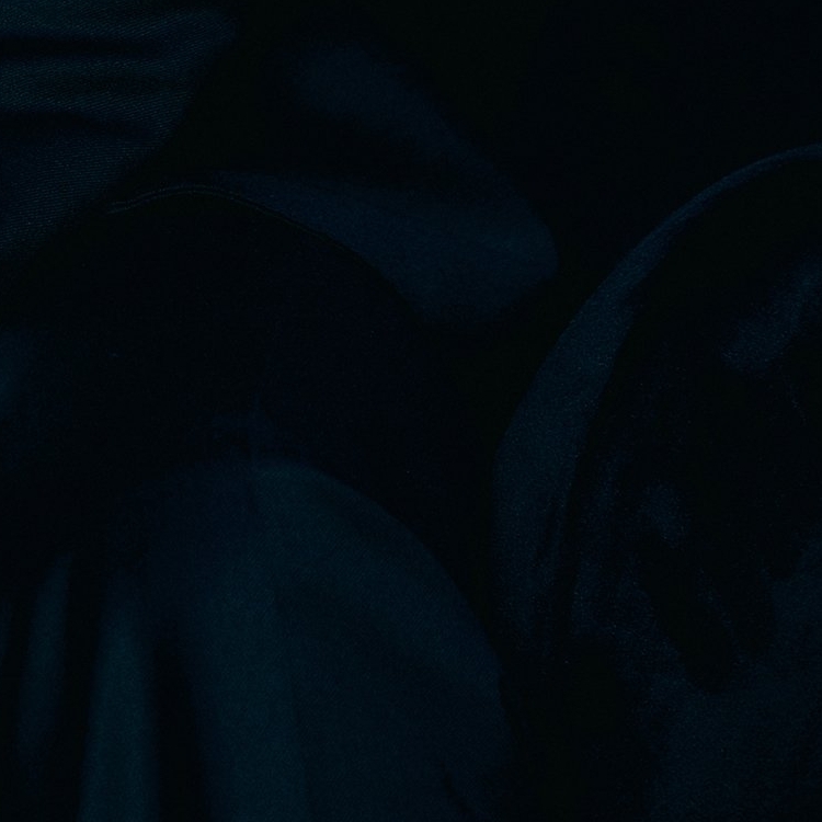 찬열 (EXO) 최근 활동샷