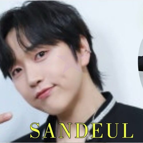 Recent activity shot of Sandeul (B1A4)