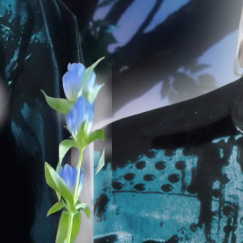 Recent activity shot of Jo (&TEAM)