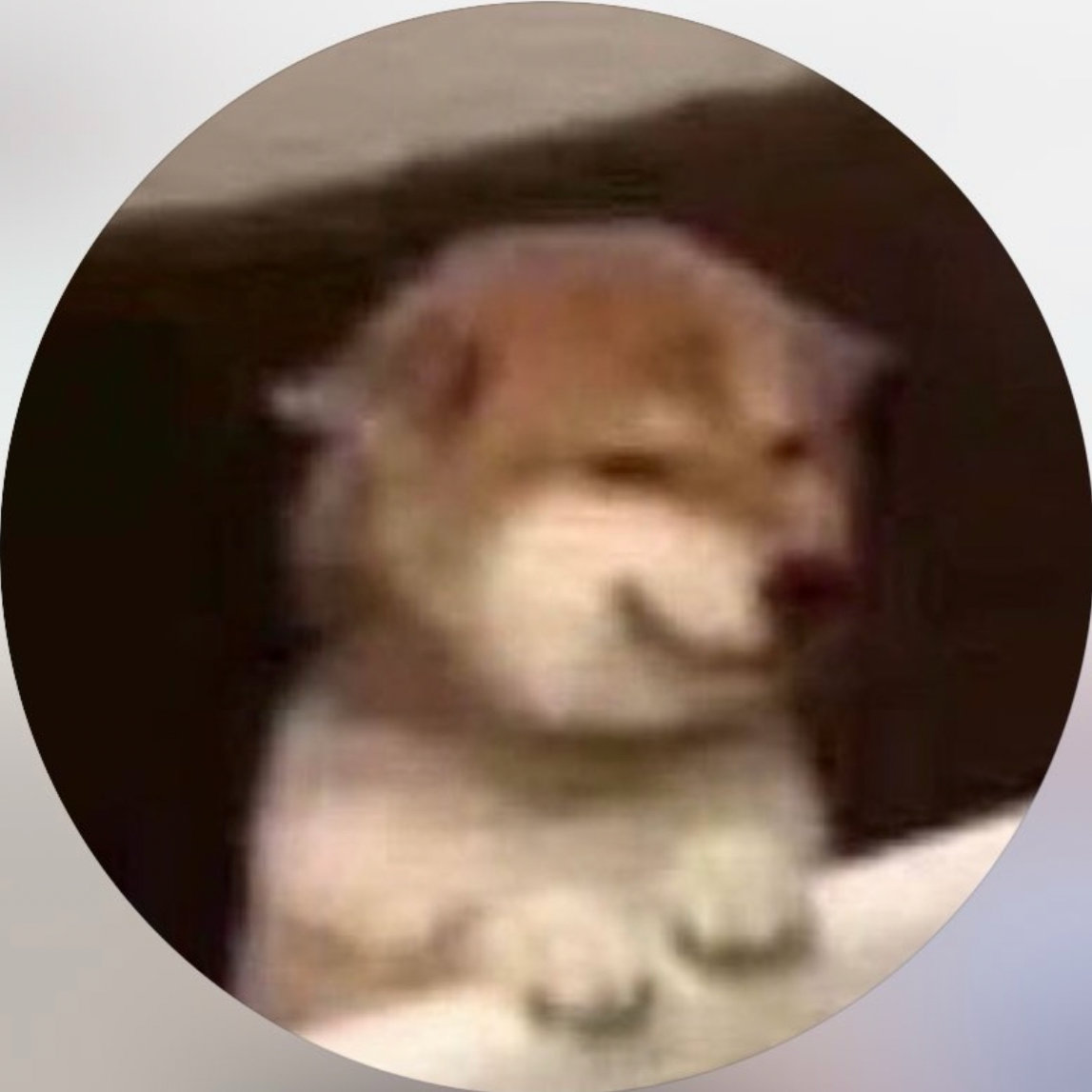 Recent activity shot of Sun Hengyu