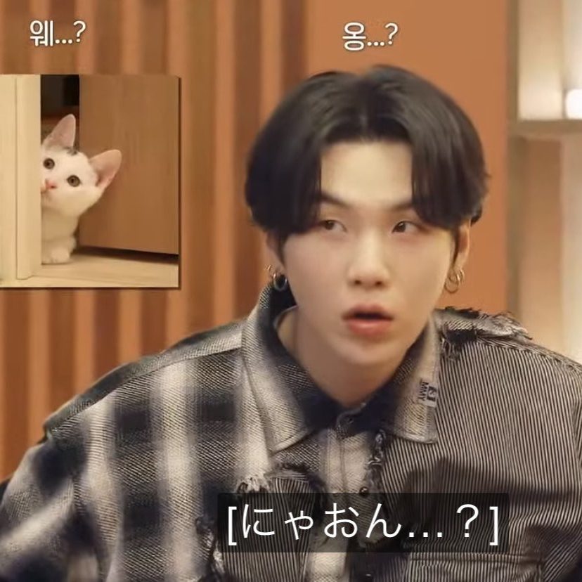 Behind-the-scenes cut of SUGA (BTS)