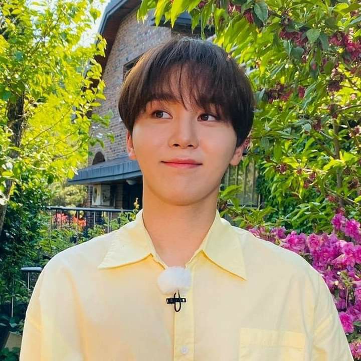 Recent activity shot of Seungkwan (SEVENTEEN)
