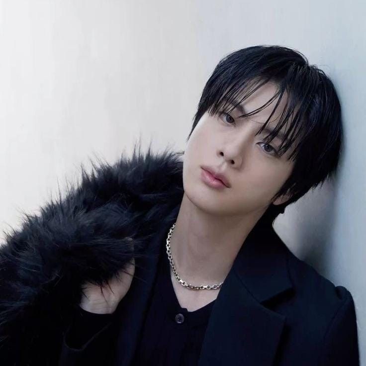 A moment captured by Jin (BTS)'s fan