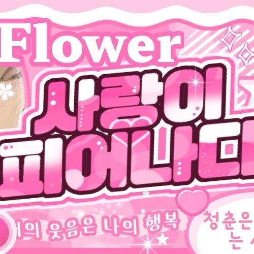 안나 (MEOVV) 팬이 찍은 순간