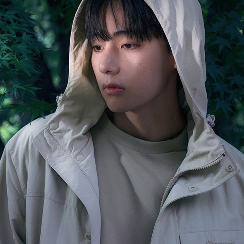 V (防彈少年團)的最新照片