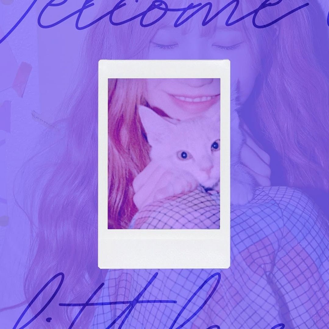 fromis (9)の最近の活動写真