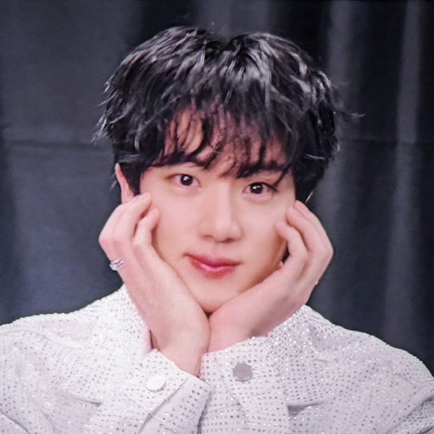 진 (방탄소년단) 팬이 찍은 순간