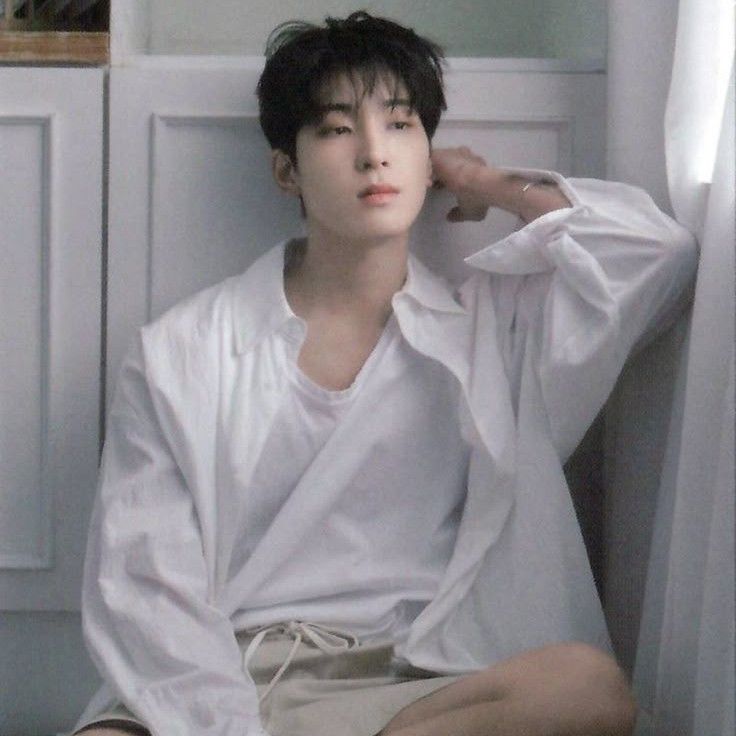 A moment captured by Wonwoo (SEVENTEEN)'s fan