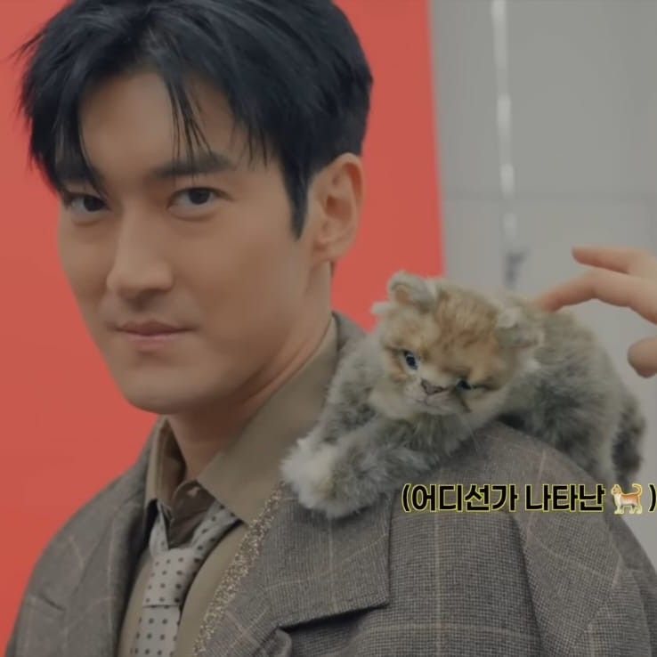 Latest photo of Siwon (Super Junior)