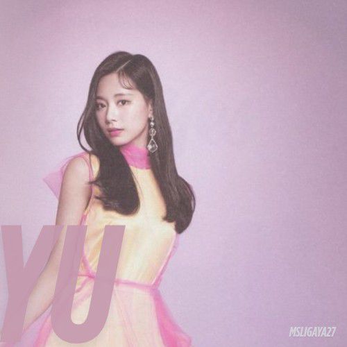 A moment captured by Tzuyu (TWICE)'s fan