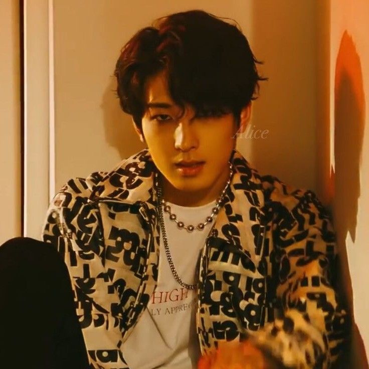 A moment captured by Wonwoo (SEVENTEEN)'s fan