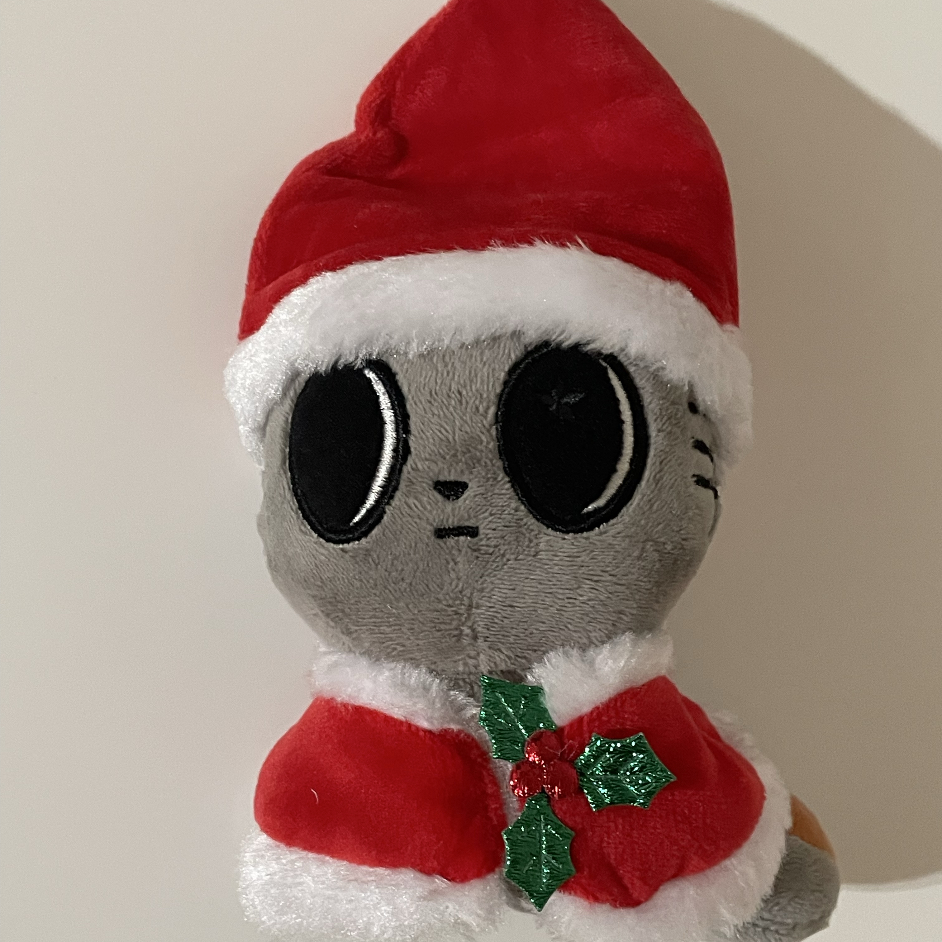 태현 (투모로우바이투게더) 팬이 찍은 순간