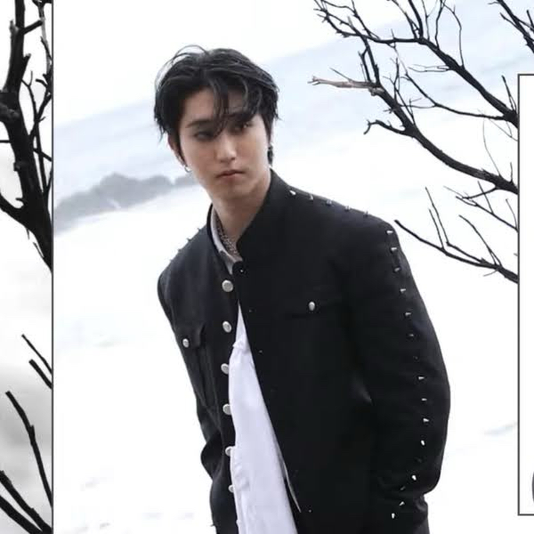Potret di balik layar HAN (Stray Kids)